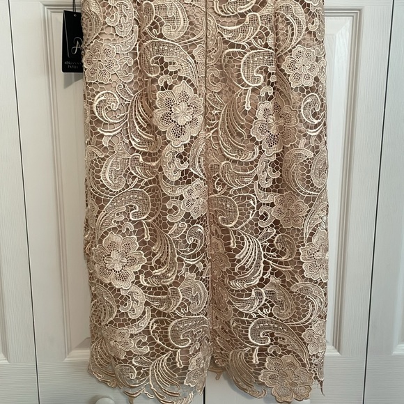 SOLD. New ADRIANNA PAPELL Champagne Lace Dress size 10 - Picture 7 of 17